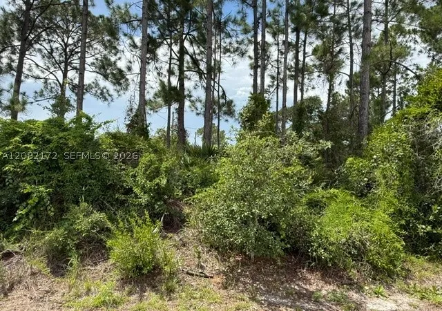 Photo 3 of Land for sale at 3607 Peugeot St, Sebring, FL 33872 | MLS# A12082172 | Listing updated on 2026-10-03