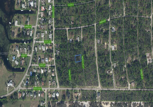 Photo 2 of Land for sale at 218 Moon Glow Ct, Lake Placid, FL 33852 | MLS# A12083136 | Listing updated on 2026-09-04