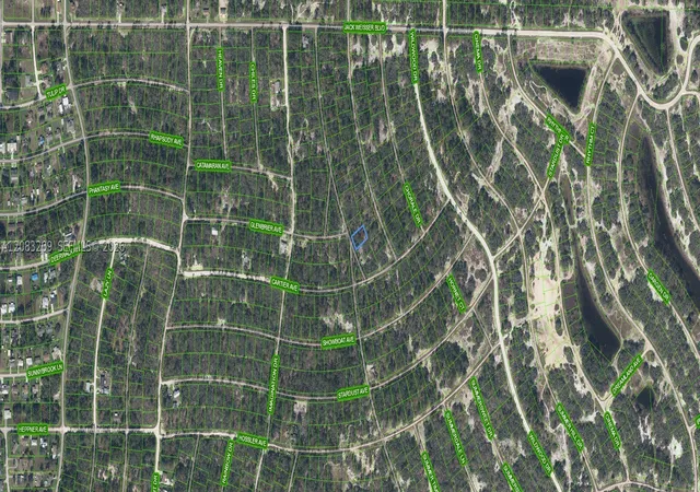 Photo 2 of Land for sale at 379 Blue Horizon Dr, Lake Placid, FL 33852 | MLS# A12083209 | Listing updated on 2026-09-04