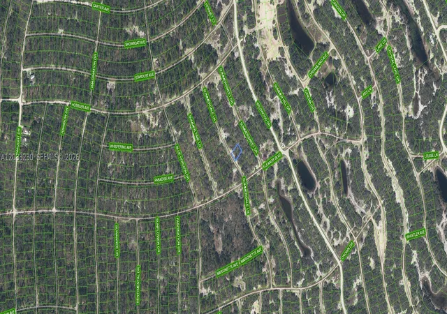 Photo 2 of Land for sale at 337 Summerdale Ln, Lake Placid, FL 33852 | MLS# A12083230 | Listing updated on 2026-09-04
