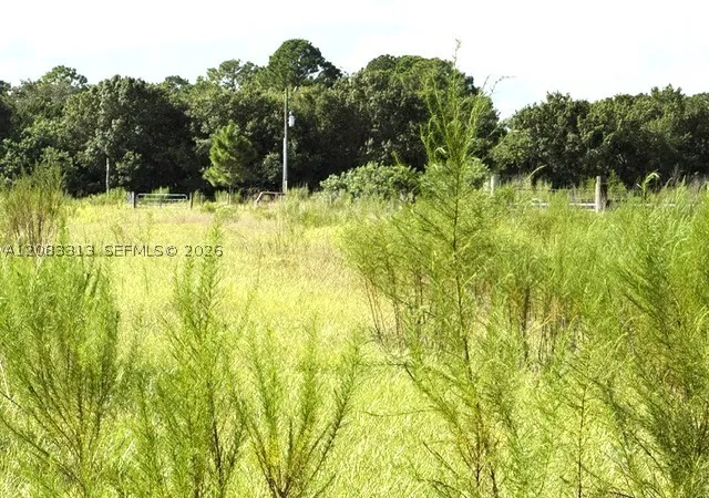Photo 3 of Land for sale at 3003 Hicks Rd, Lorida, FL 33857 | MLS# A12083313 | Listing updated on 2026-09-04
