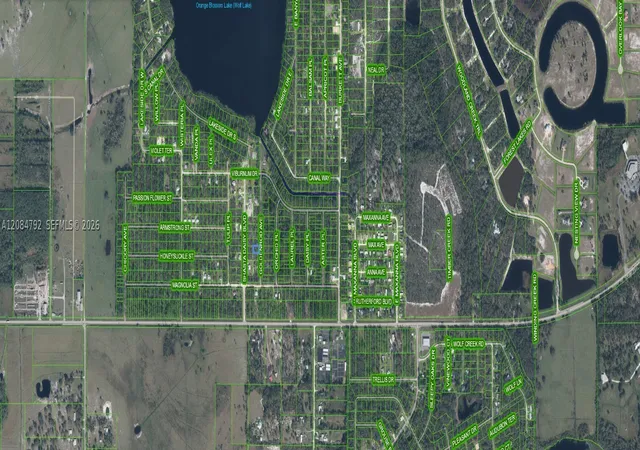 Photo 3 of Land for sale at 7019 Goldenrod Ave, Sebring, FL 33875 | MLS# A12084792 | Listing updated on 2026-09-08