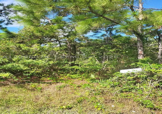 Photo 1 of Land for sale at 29256 Maris Dr, Punta Gorda, FL 33982 | MLS# A12086078 | Listing updated on 2026-09-10