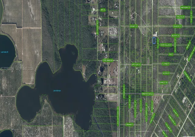 Photo 2 of Land for sale at 881 Papaya St, Lake Placid, FL 33852 | MLS# A12090186 | Listing updated on 2026-09-16