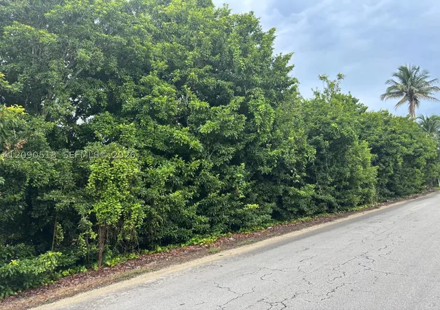 Photo 3 of Land for sale at 24350 Southwest 182 Ave, Homestead, FL 33031 | MLS# A12090518 | Listing updated on 2026-09-18