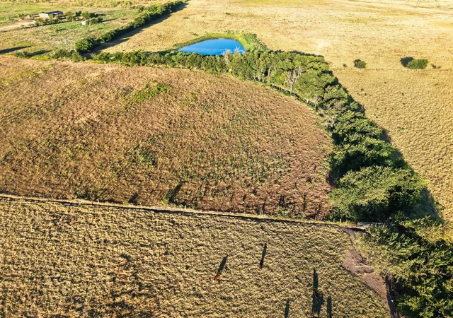 Photo 1 of Land for sale at 1951 Fm 487, Jarrell, TX 76537 | MLS# 9832304 | Listing updated on 2026-09-04