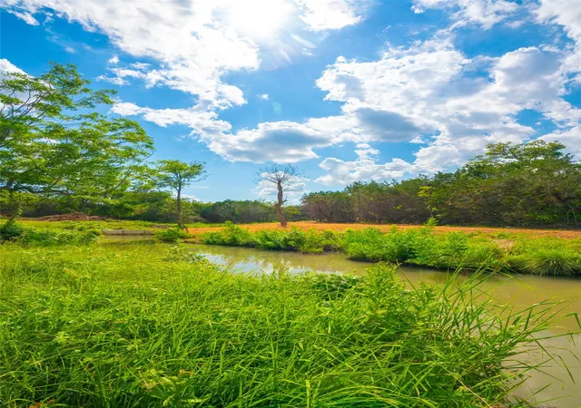 Photo 4 of House for sale at 0 Spring Hvn Ranch, Wimberley, TX 78676 | MLS# 2023097 | Listing updated on 2026-09-02