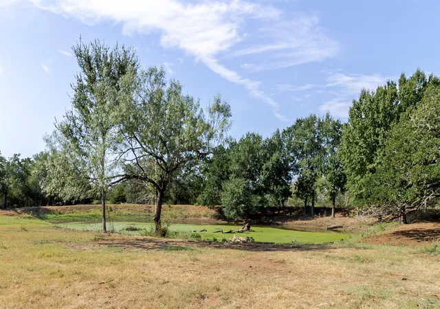 Photo 2 of Land for sale at 2015 Tx 21, Paige, TX 78659 | MLS# 7254052 | Listing updated on 2026-09-28
