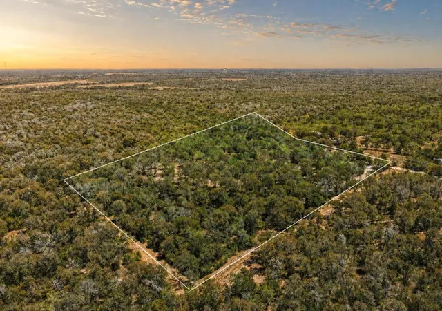 Photo 2 of Land for sale at 388 The Forest Rd, Dale, TX 78616 | MLS# 2573220 | Listing updated on 2026-09-01