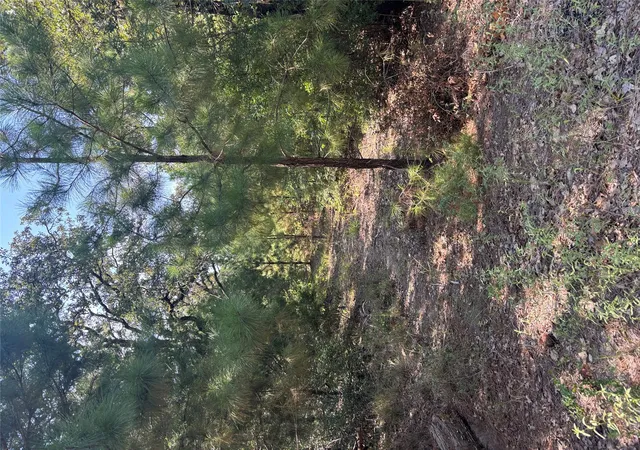 Photo 1 of Land for sale at 667 Paint Crk S Rd, Paige, TX 78659 | MLS# 1148245 | Listing updated on 2026-09-01
