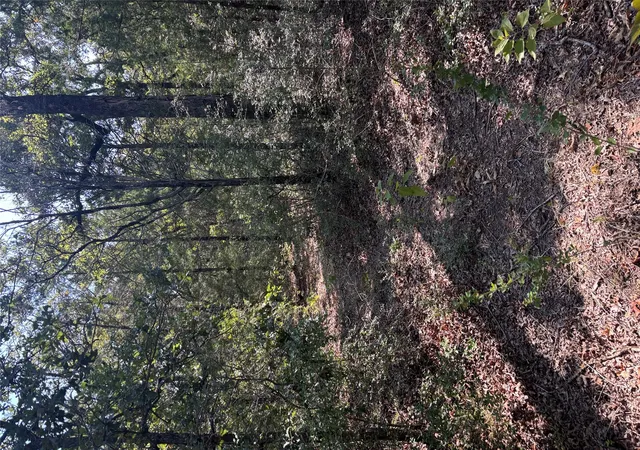 Photo 2 of Land for sale at 667 Paint Crk S Rd, Paige, TX 78659 | MLS# 1148245 | Listing updated on 2026-09-01