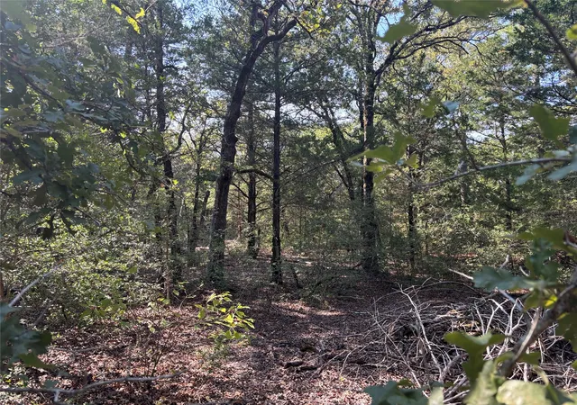 Photo 3 of Land for sale at 667 Paint Crk S Rd, Paige, TX 78659 | MLS# 1148245 | Listing updated on 2026-09-01
