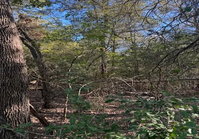 Photo 1 of Land for sale at 125 Helemano Dr, Bastrop, TX 78602 | MLS# 4526561 | Listing updated on 2026-09-01