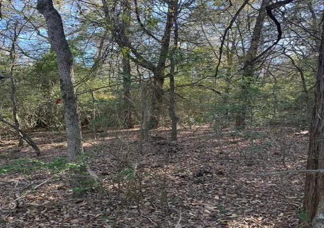 Photo 2 of Land for sale at 125 Helemano Dr, Bastrop, TX 78602 | MLS# 4526561 | Listing updated on 2026-09-01