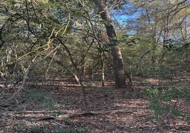 Photo 3 of Land for sale at 125 Helemano Dr, Bastrop, TX 78602 | MLS# 4526561 | Listing updated on 2026-09-01