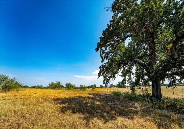 Photo 2 of Land for sale at 0000 Cr 446, Rockdale, TX 76567 | MLS# 2262245 | Listing updated on 2026-10-09