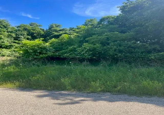 Photo 1 of Land for sale at 366 Riverside Dr, Bastrop, TX 78602 | MLS# 3514347 | Listing updated on 2026-09-02