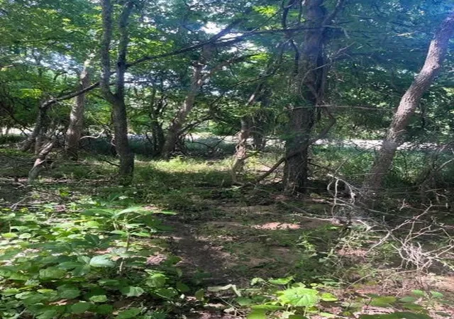 Photo 4 of Land for sale at 366 Riverside Dr, Bastrop, TX 78602 | MLS# 3514347 | Listing updated on 2026-09-02