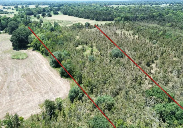 Photo 3 of Land for sale at Fm 141, Giddings, TX 78942 | MLS# 8084157 | Listing updated on 2026-09-02