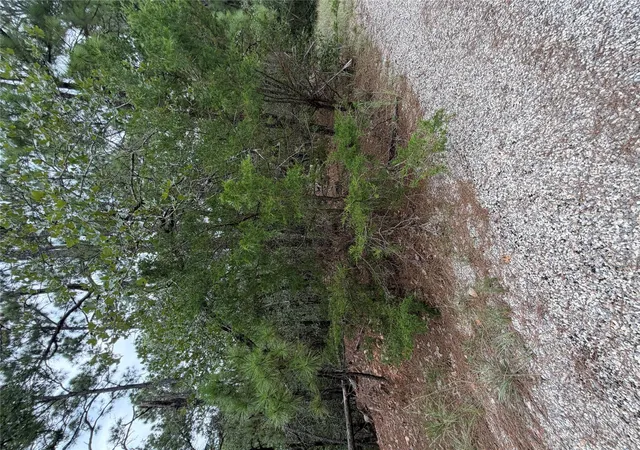 Photo 2 of Land for sale at Lot 216 Hekili Dr, Bastrop, TX 78602 | MLS# 2182541 | Listing updated on 2026-09-02
