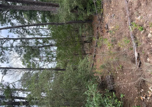 Photo 3 of Land for sale at Lot 217 Hekili Dr, Bastrop, TX 78602 | MLS# 9778084 | Listing updated on 2026-09-02
