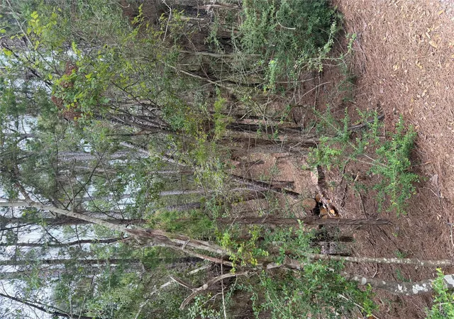 Photo 2 of Land for sale at Lot 213 Hekili Dr, Bastrop, TX 78602 | MLS# 6575323 | Listing updated on 2026-09-04