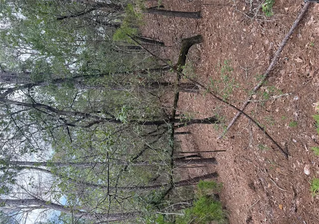 Photo 3 of Land for sale at Lot 213 Hekili Dr, Bastrop, TX 78602 | MLS# 6575323 | Listing updated on 2026-09-04