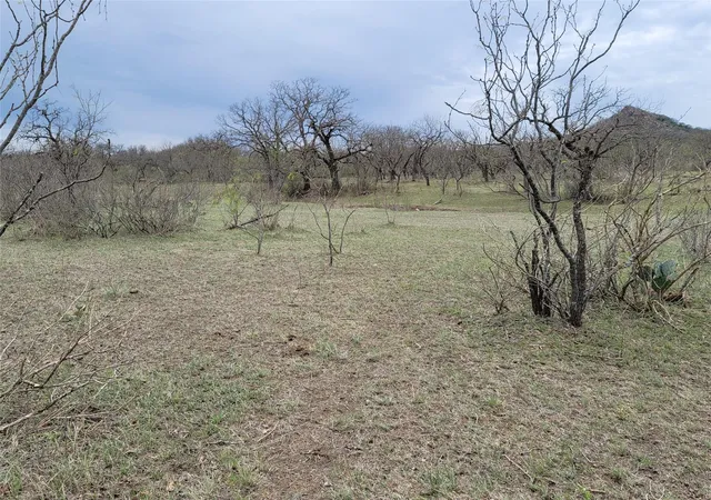 Photo 3 of House for sale at 293 Threadgill Ln, Valley Spring, TX 76885 | MLS# 7309235 | Listing updated on 2026-09-03