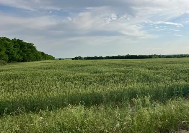 Photo 1 of Land for sale at Tbd Tract 3c Airville Rd, Temple, TX 76501 | MLS# 5424887 | Listing updated on 2026-09-28