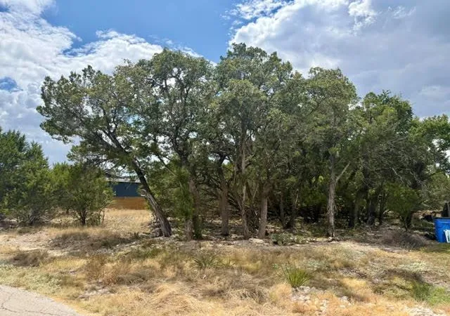 Photo 4 of Land for sale at 21707 Patton Dr, Lago Vista, TX 78645 | MLS# 2419442 | Listing updated on 2026-10-09