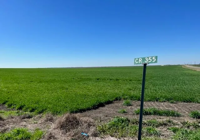 Land for sale at Tract 3 Cr 355, Rosebud, TX 76519 | MLS# 1333488