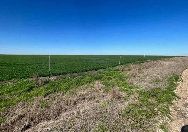 Photo 2 of Land for sale at Tract 3 Cr 355, Rosebud, TX 76519 | MLS# 1333488 | Listing updated on 2026-09-28