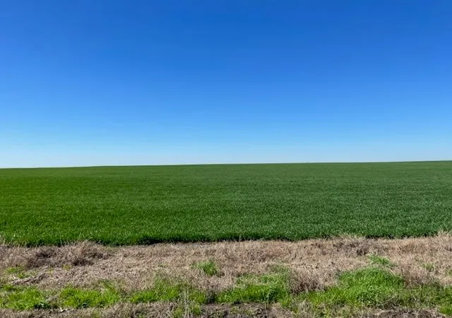 Photo 3 of Land for sale at Tract 3 Cr 355, Rosebud, TX 76519 | MLS# 1333488 | Listing updated on 2026-09-28