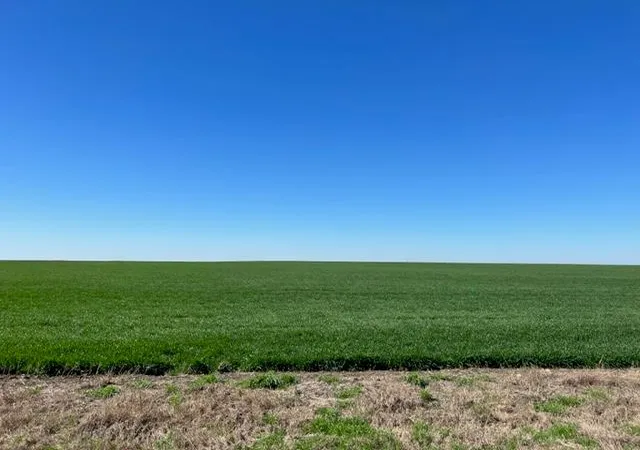 Photo 3 of House for sale at Tract 3 Cr 355, Rosebud, TX 76519 | MLS# 1333488 | Listing updated on 2026-09-28