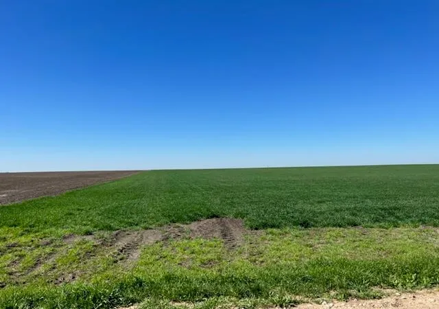 Photo 4 of House for sale at Tract 3 Cr 355, Rosebud, TX 76519 | MLS# 1333488 | Listing updated on 2026-09-28