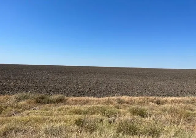 Photo 10 of Land for sale at Tract 3 Cr 355, Rosebud, TX 76519 | MLS# 1333488 | Listing updated on 2026-09-28