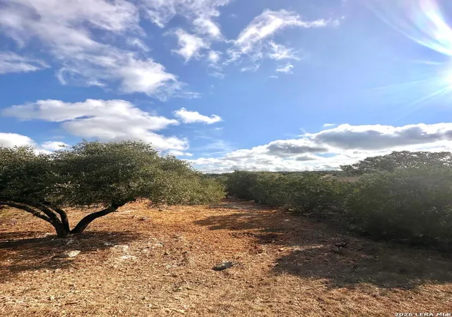 Photo 3 of Land for sale at 1447 Carson, Canyon Lake, TX 78133 | MLS# 1948595 | Listing updated on 2026-09-10