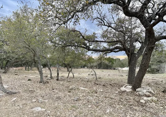 Photo 3 of Land for sale at 104 C Chisholm, Blanco, TX 78606 | MLS# 1949504 | Listing updated on 2026-09-19