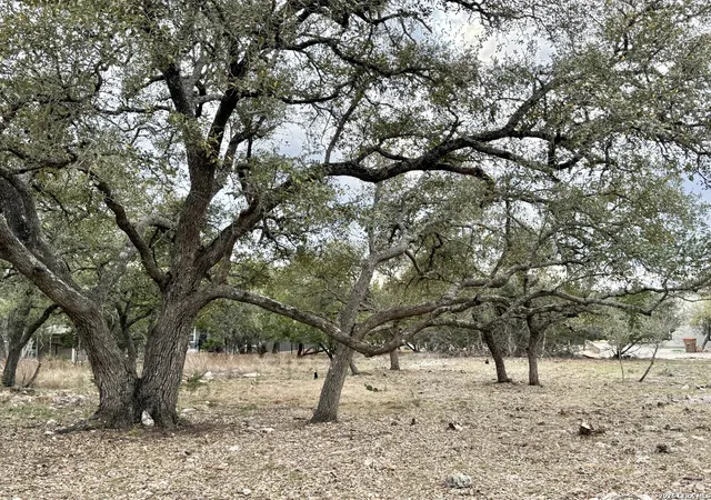 Photo 3 of Land for sale at 104 C Chisholm, Blanco, TX 78606 | MLS# 1949504 | Listing updated on 2026-09-19