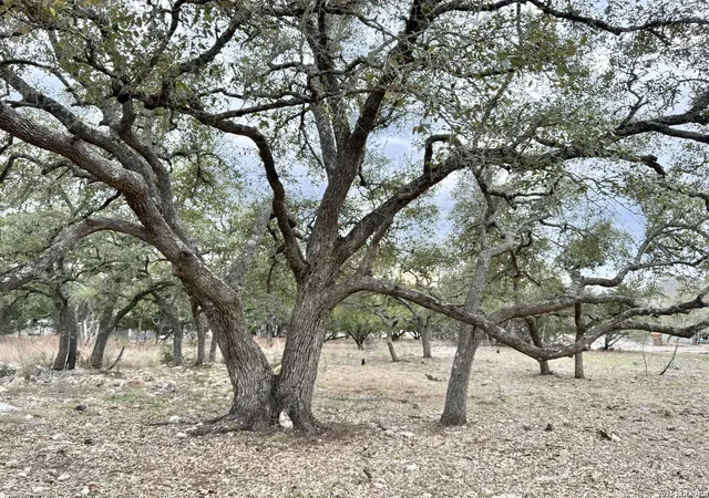 Photo 4 of Land for sale at 104 C Chisholm, Blanco, TX 78606 | MLS# 1949504 | Listing updated on 2026-09-19