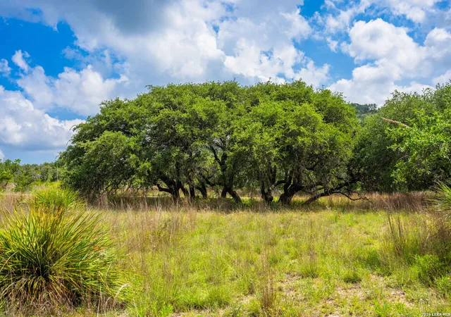 Photo 4 of Single family home for sale at 147 Gray Wolf, Blanco, TX 78606 | MLS# 2013095 | Listing updated on 2026-09-12