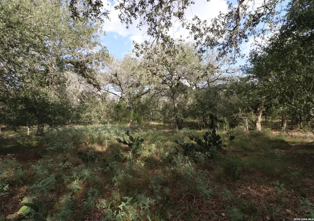 Photo 3 of Land for sale at 5668 State Hwy 97, Floresville, TX 78114 | MLS# 2013119 | Listing updated on 2026-09-12