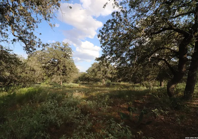 Photo 3 of House for sale at 5668 State Hwy 97, Floresville, TX 78114 | MLS# 2013119 | Listing updated on 2026-09-12