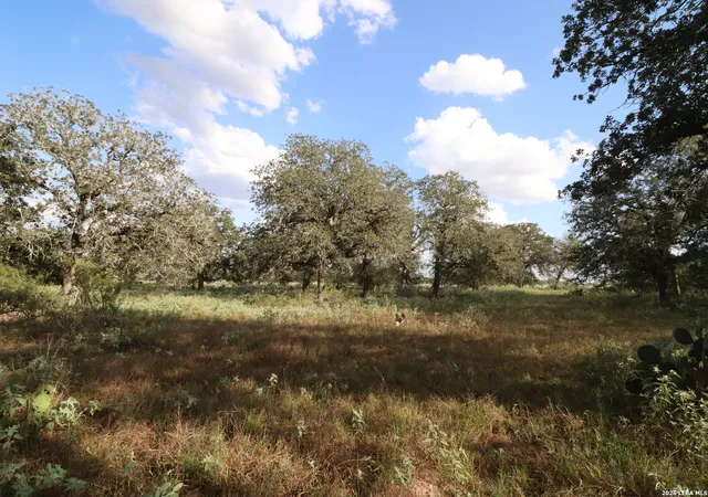Photo 4 of House for sale at 5668 State Hwy 97, Floresville, TX 78114 | MLS# 2013119 | Listing updated on 2026-09-12
