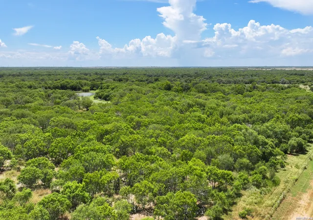 Photo 3 of Land for sale at 2 County Rd 414, Mc Coy, TX 78113 | MLS# 2013336 | Listing updated on 2026-09-12