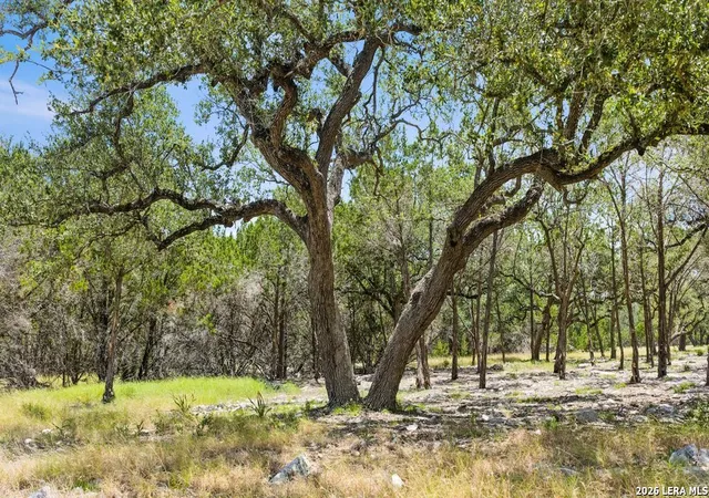 Photo 2 of Land for sale at Tract 5 Cypress Cvs, Spring Branch, TX 78070 | MLS# 2013464 | Listing updated on 2026-09-13