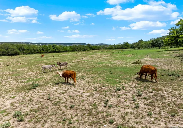 Photo 2 of Single family home for sale at 834 Northwood Hills Dr, Fredericksburg, TX 78624 | MLS# 2013598 | Listing updated on 2026-09-13