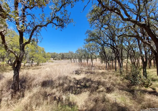 Photo 4 of Land for sale at 928 Annabelle Ave, Bulverde, TX 78163 | MLS# 2014438 | Listing updated on 2026-09-15