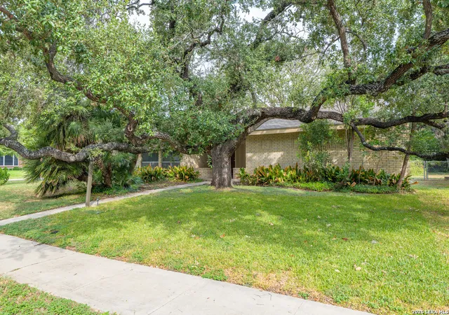 Single family home for sale at 3103 Mindoro Dr, San Antonio, TX 78217 | MLS# 2014497