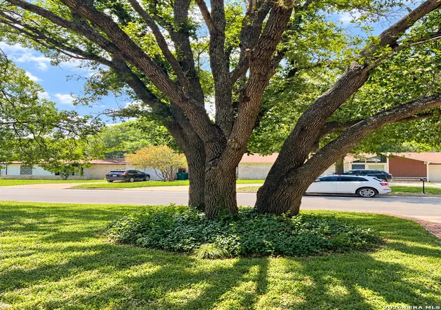 Photo 3 of Single family home for sale at 219 Shin Oak Dr, Live Oak, TX 78233 | MLS# 2014641 | Listing updated on 2026-09-06